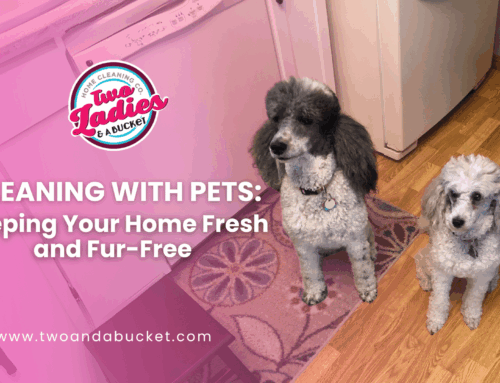 Cleaning with Pets: Keeping Your Home Fresh and Fur-Free