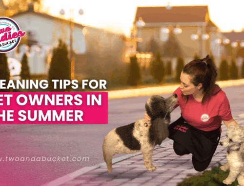 Cleaning Tips for Pet Owners in the Summer