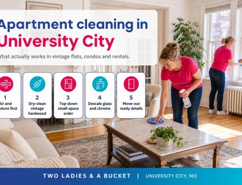 Apartment Cleaning in University City: Local Guide